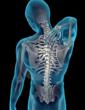 Dr. Douglas Rhodes of Roseville Chiropractic Clinic Celebrates 26...